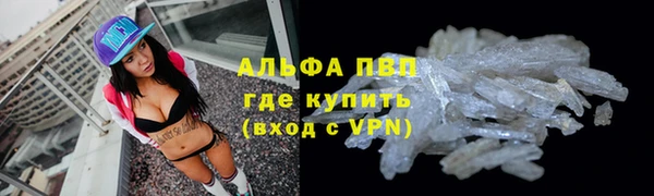 крисы Беломорск