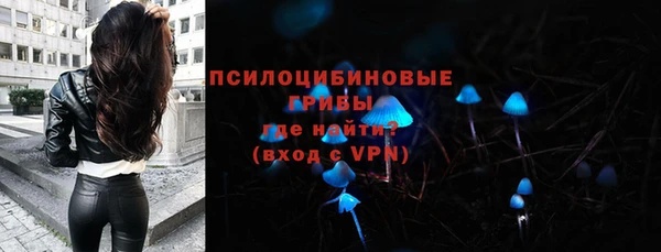 твердый Белокуриха