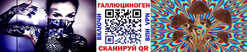ОМГ ОМГ   Котельники  Галлюциногенные грибы мицелий 